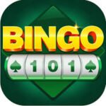bingo 101 game logo